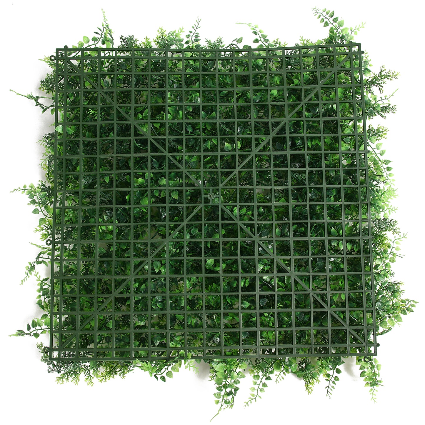 Alva · Panel Coníferas