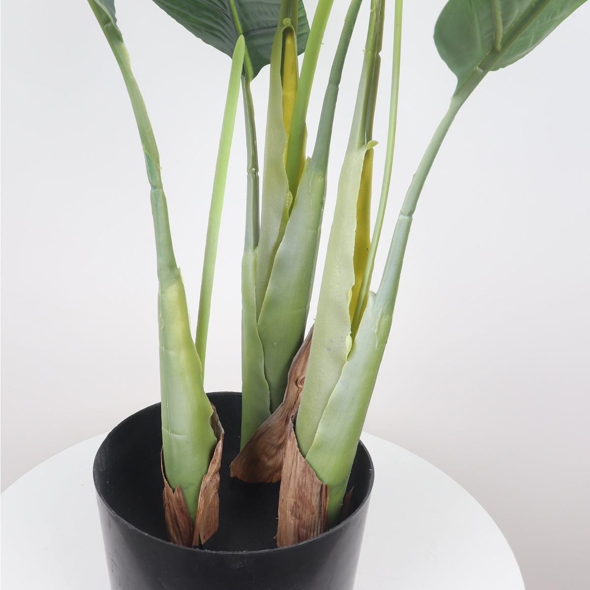 Plantas artificiales: realismo sorprendente, sin mantenimiento.