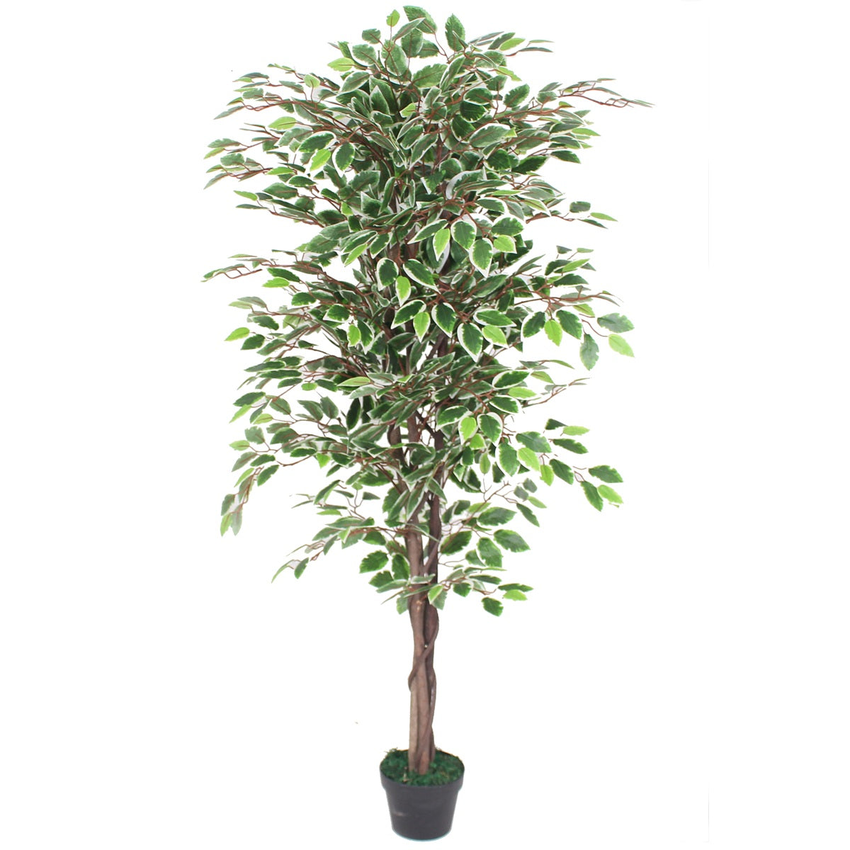 Plantas artificiales: realismo sorprendente, sin mantenimiento.