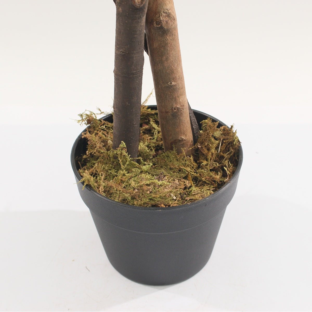 Plantas artificiales: realismo sorprendente, sin mantenimiento.