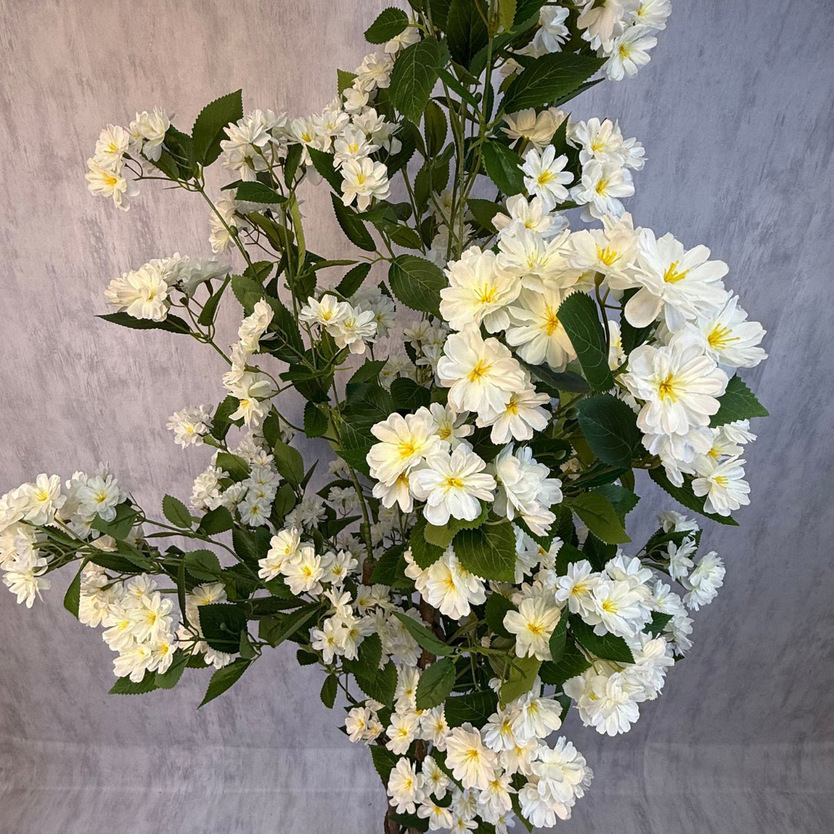 Osmanthus - Arbol floral blanco macetero premium blanco 180CM