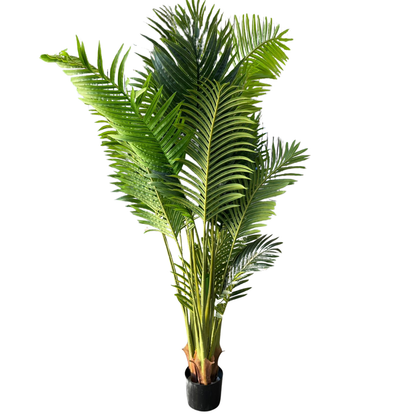 Matilda - Palmera 170cm
