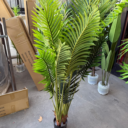 Matilda - Palmera 170cm