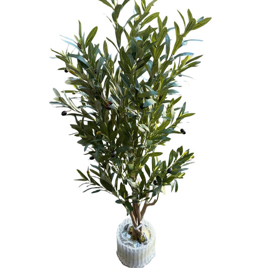 Olivia - Olivo 125cm