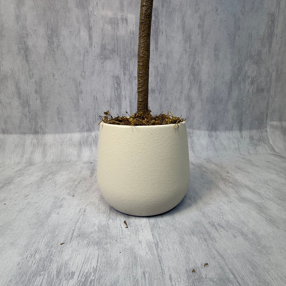 Olivia · Olivo artificial 175 cm con macetero premium