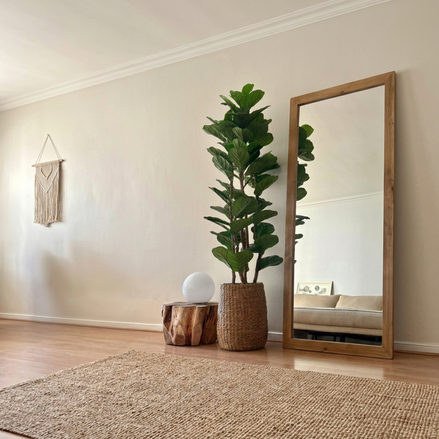 Aurora - Ficus lyrata 180cm, foto 2 - Magno Botanics