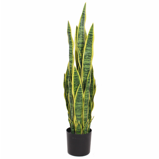 Birna · Planta Lengua de Suegra 90cm