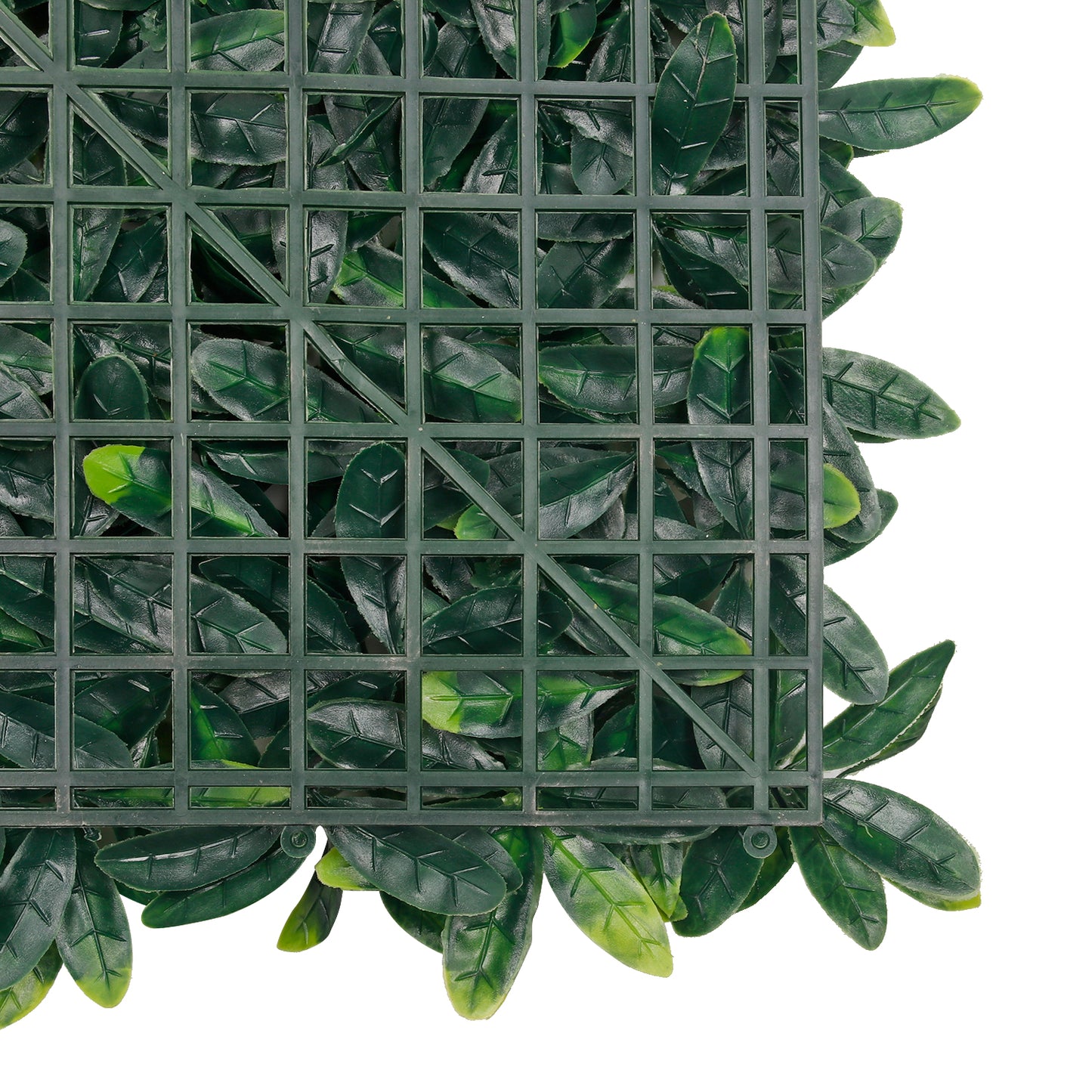 Edda · Mural artificial Ligustro 50x50 cm, foto 4 - Magno Botanics