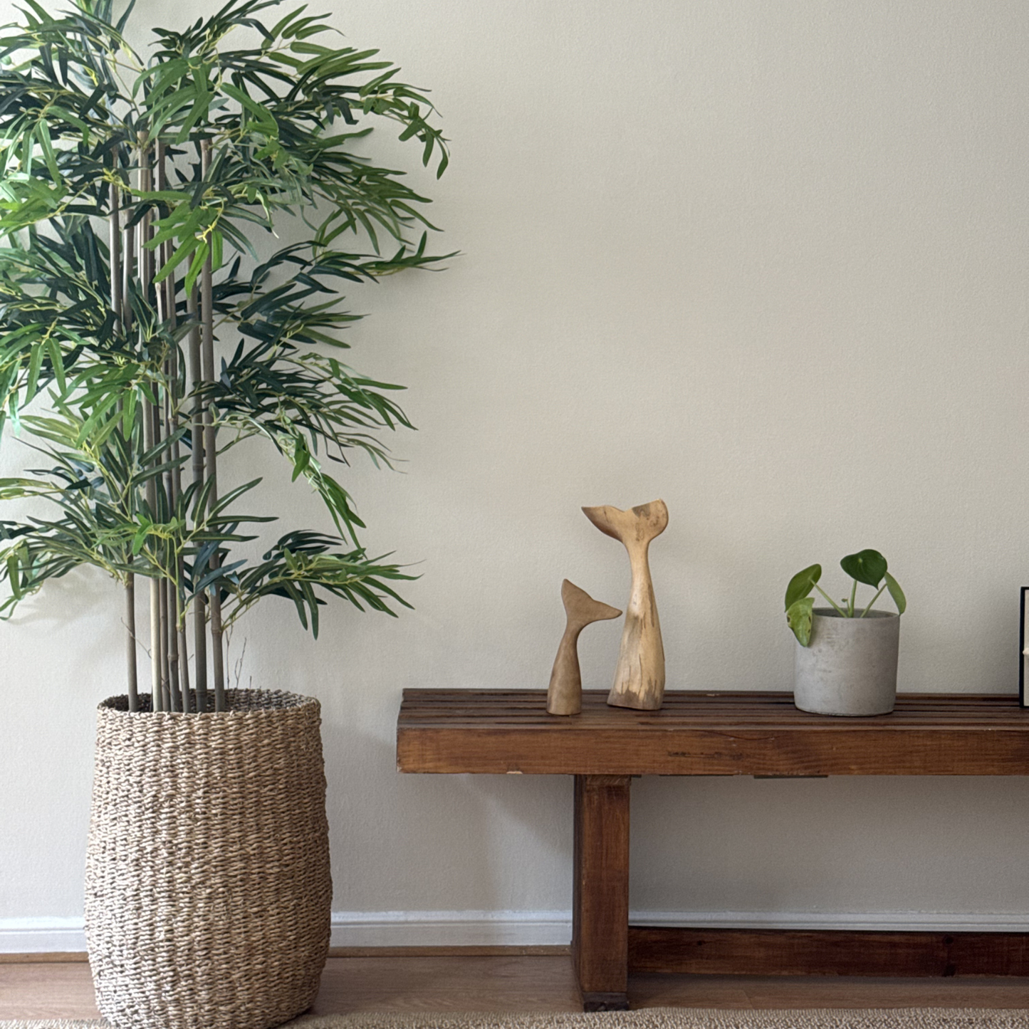 Elara · Planta Bambú 150cm, foto 1 - Magno Botanics