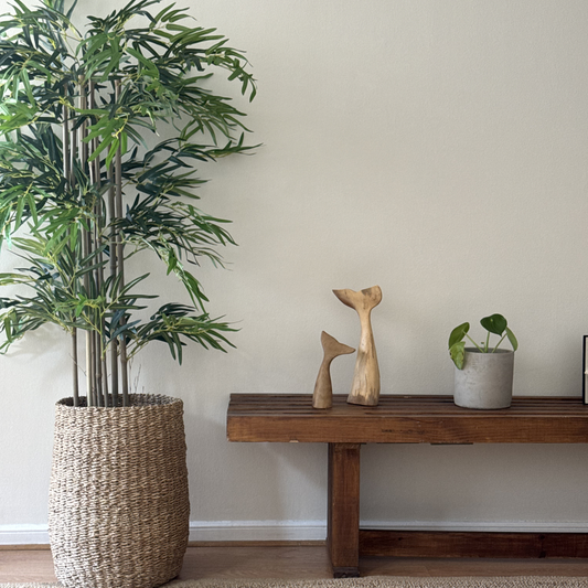 Elara · Planta Bambú 150cm, foto 1 - Magno Botanics