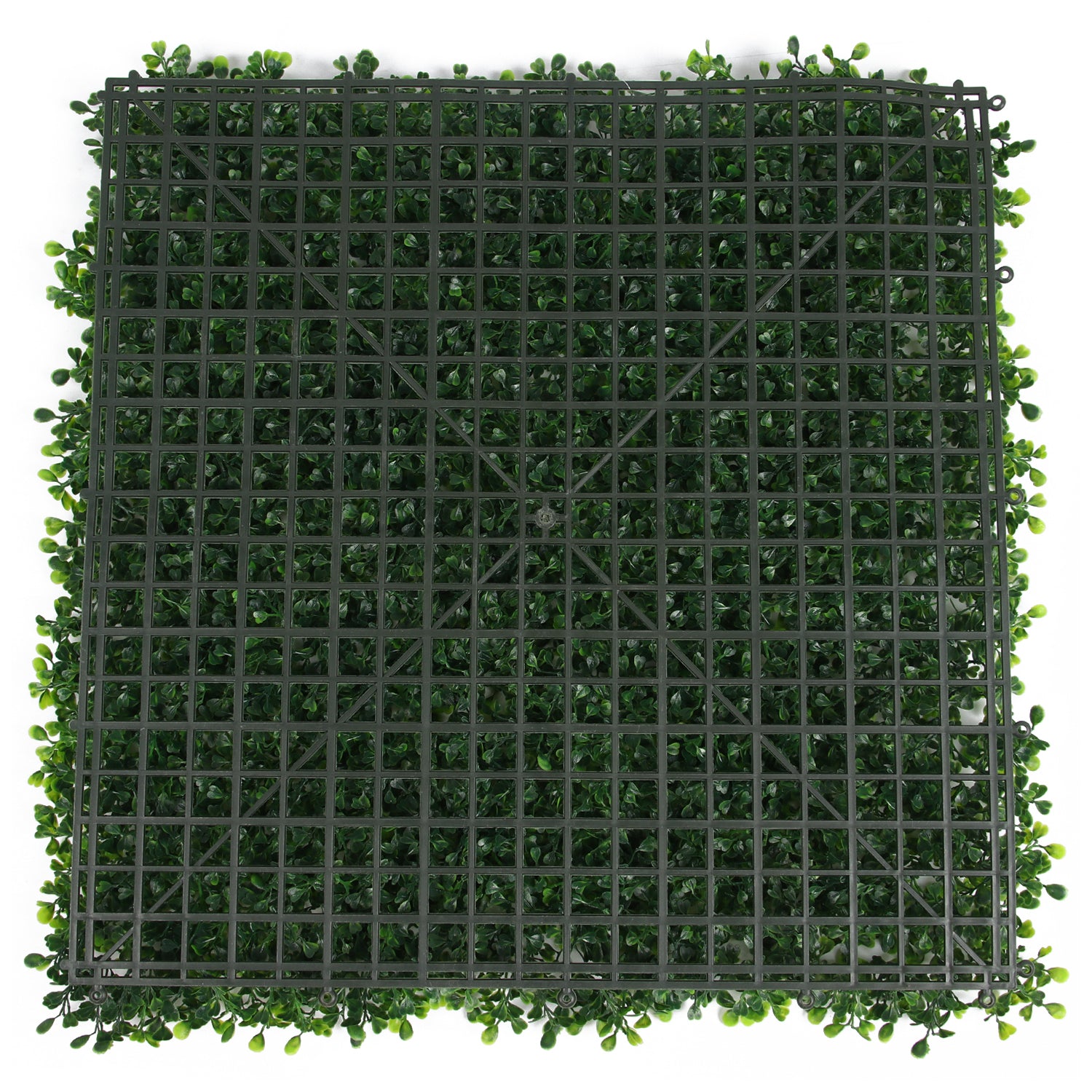 Freya · Mural artificial Seto de Boj 50 x 50 cm, foto 2 - Magno Botanics
