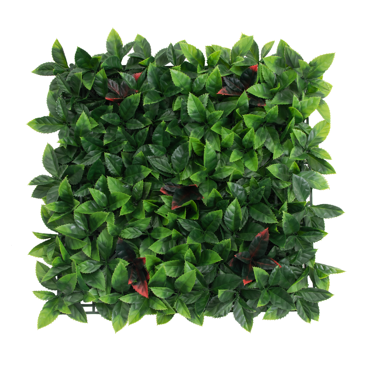 Greta · Mural artificial Holly 50 x 50 cm, foto 1 - Magno Botanics