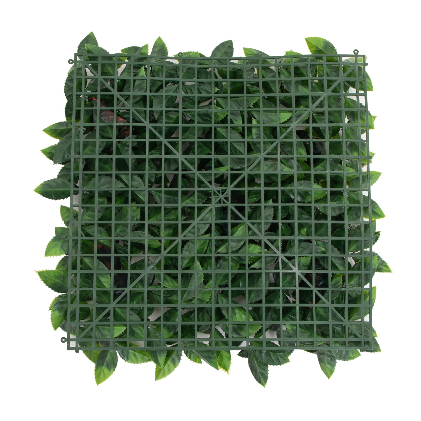 Greta · Mural artificial Holly 50 x 50 cm, foto 7 - Magno Botanics