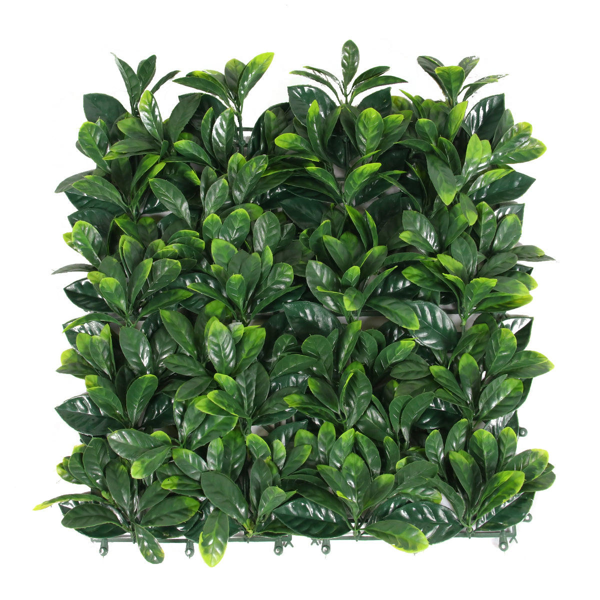 Inga · Mural artificial Gardenia Jasminoides 50 x 50 cm, foto 1 - Magno Botanics