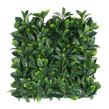 Inga · Mural artificial Gardenia Jasminoides 50 x 50 cm, foto 1 - Magno Botanics