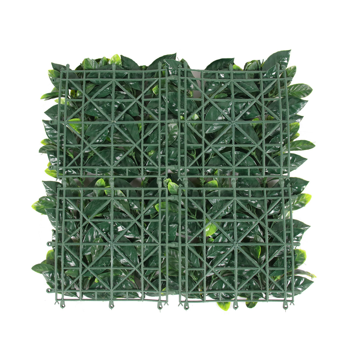 Inga · Mural artificial Gardenia Jasminoides 50 x 50 cm, foto 5 - Magno Botanics