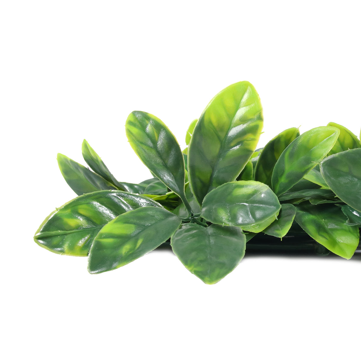 Inga · Mural artificial Gardenia Jasminoides 50 x 50 cm, foto 6 - Magno Botanics