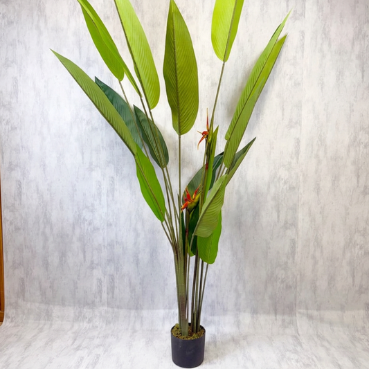 Isadora XL - Ave del Paraíso 180cm, foto 1 - Magno Botanics