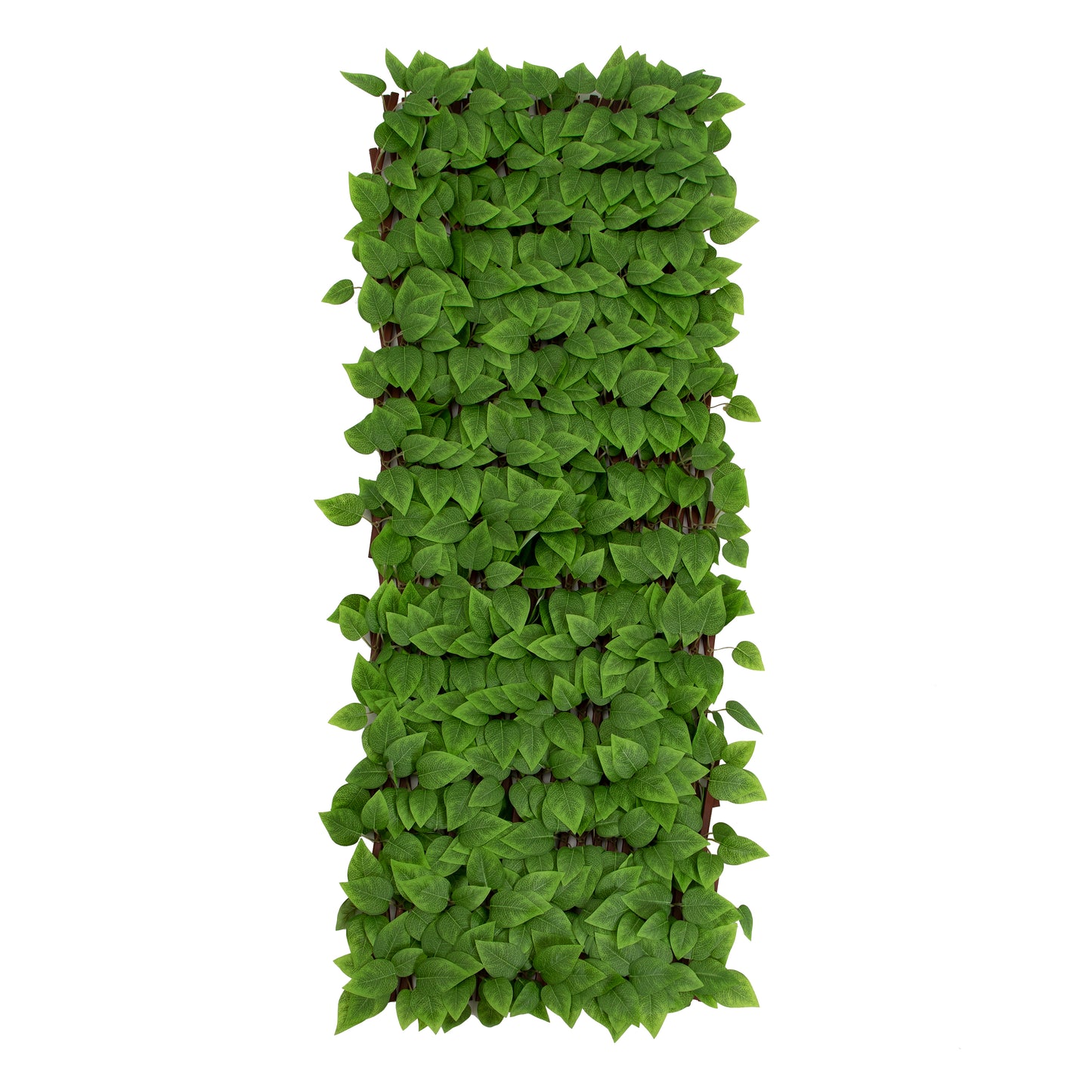 LIQUIDACION Helga · Valla extensible Hiedra 100 x 200 cm, foto 2 - Magno Botanics