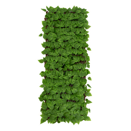 LIQUIDACION Helga · Valla extensible Hiedra 100 x 200 cm, foto 2 - Magno Botanics