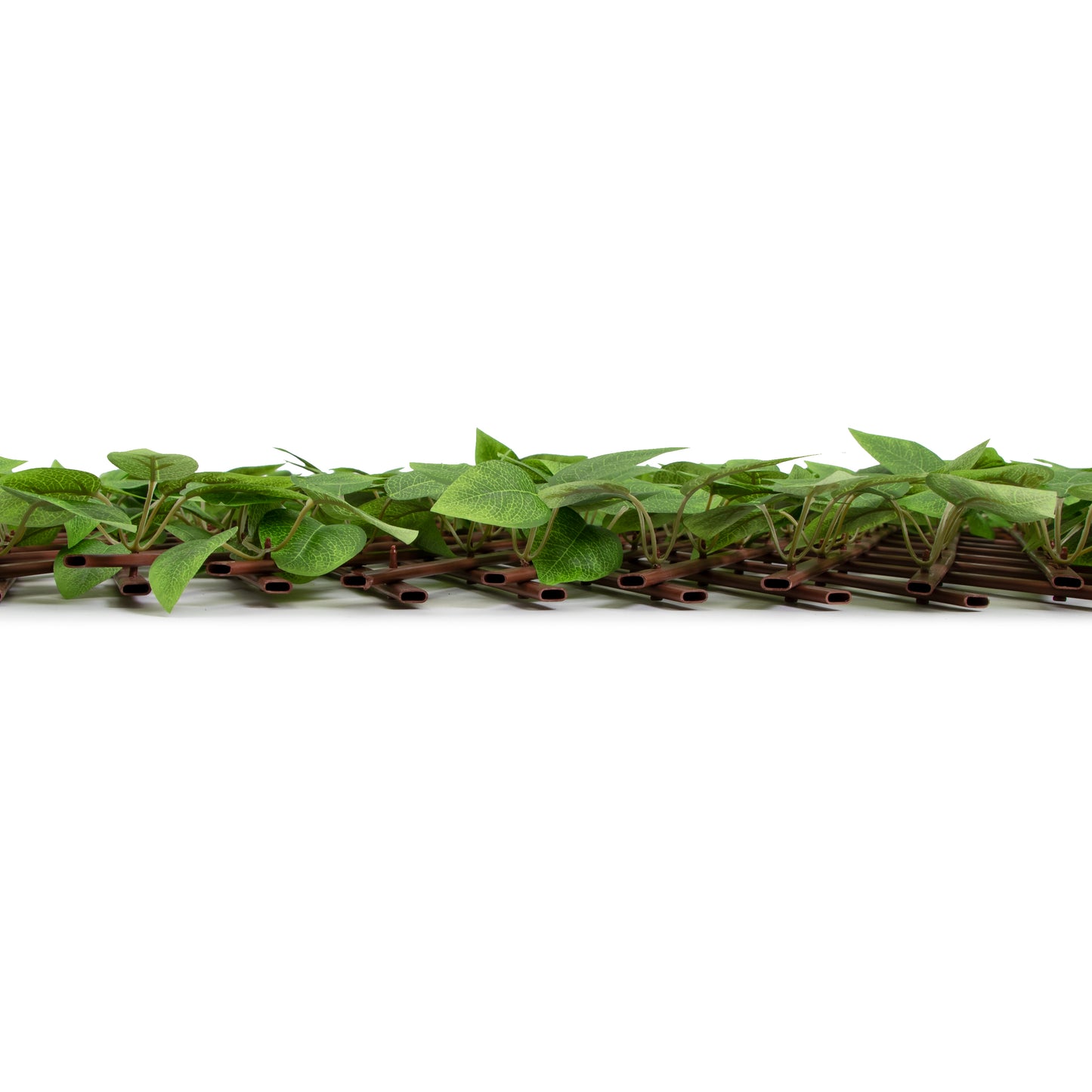 LIQUIDACION Helga · Valla extensible Hiedra 100 x 200 cm, foto 7 - Magno Botanics