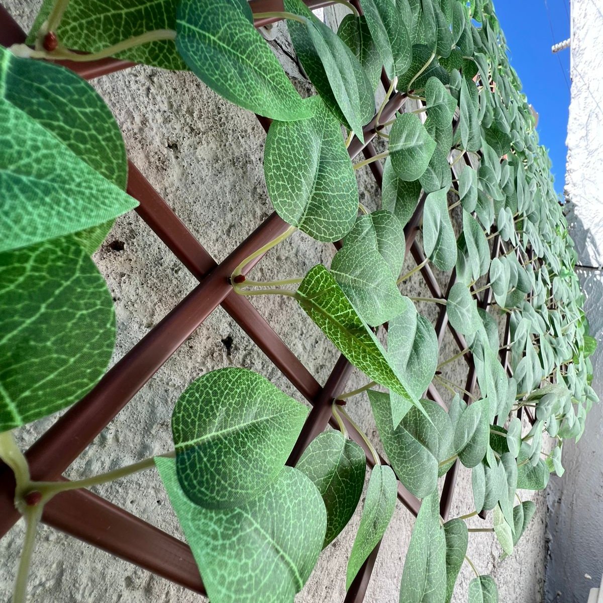 LIQUIDACION Helga · Valla extensible Hiedra 100 x 200 cm, foto 8 - Magno Botanics