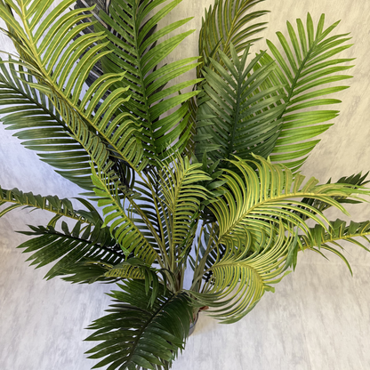 Matilda - Palmera 170cm, foto 3 - Magno Botanics