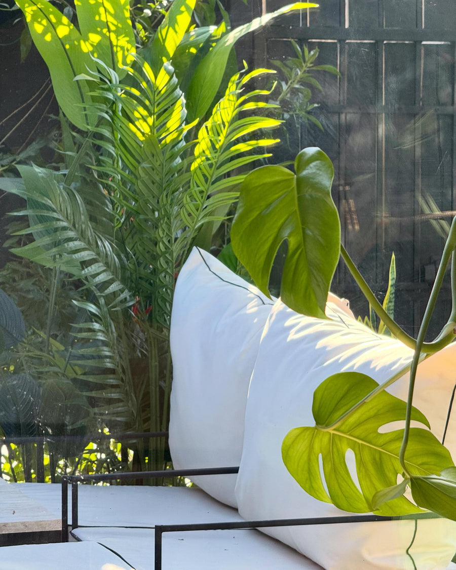 Palmera artificial en terraza con cojines - Magno Botanics