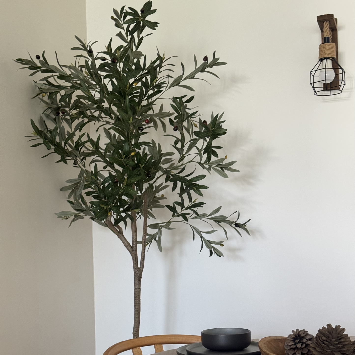 Olivia - Olivo 175cm, foto 2 - Magno Botanics