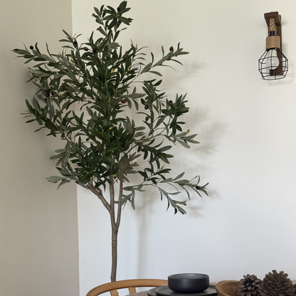 Olivia - Olivo 175cm, foto 2 - Magno Botanics