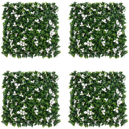 Pack Astrid (4u), foto 1 - Magno Botanics