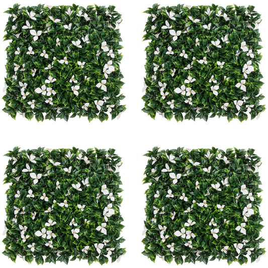 Pack Astrid (4u), foto 1 - Magno Botanics