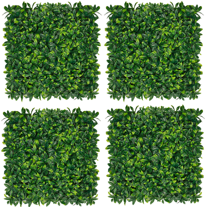 Pack Edda (4u), foto 1 - Magno Botanics