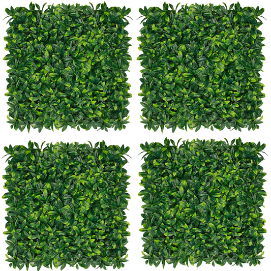 Pack Edda (4u), foto 1 - Magno Botanics