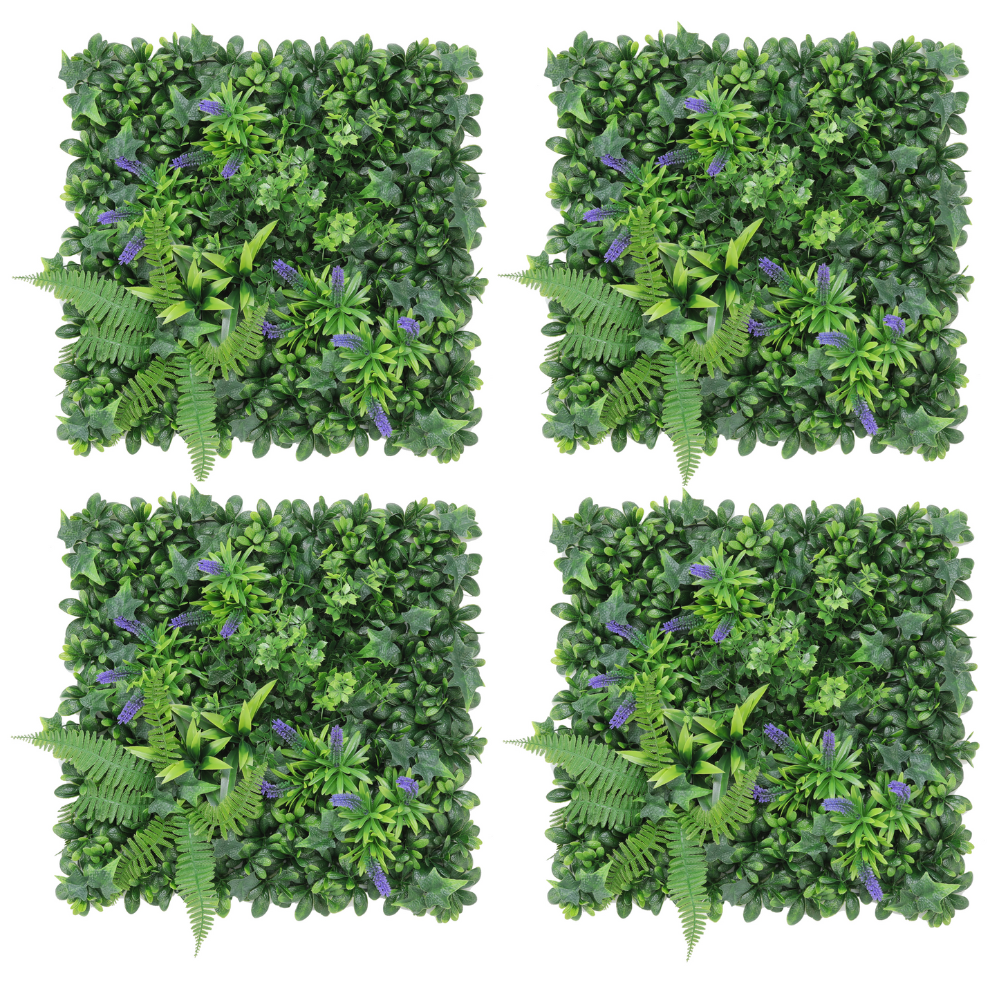 Pack Erika (4u), foto 1 - Magno Botanics