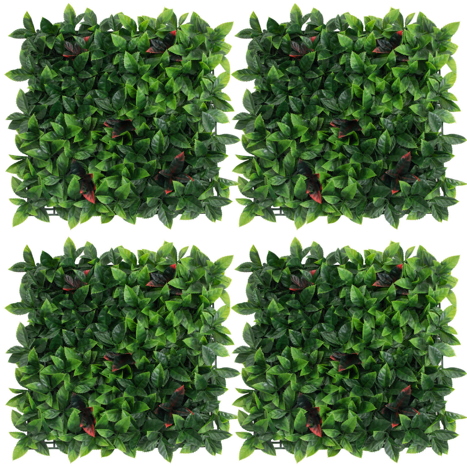 Pack Greta (4u), foto 1 - Magno Botanics