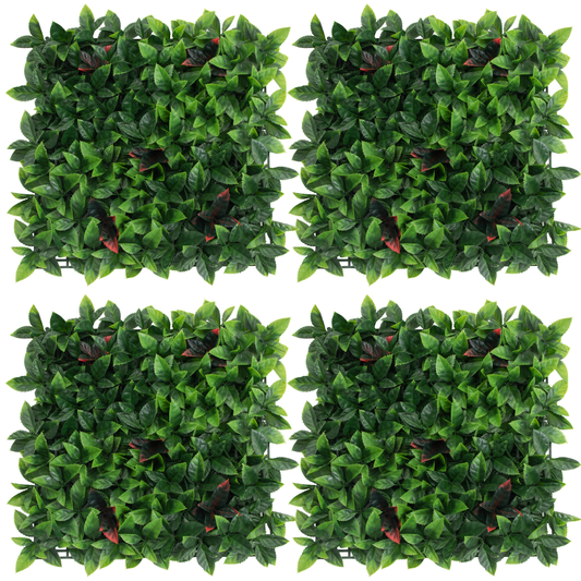 Pack Greta (4u), foto 1 - Magno Botanics