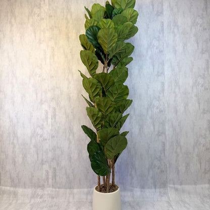 Planta artificial Ficus Lyrata 180 cm - Aurora, foto 3 - Magno Botanics