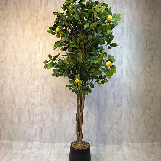 Planta artificial Limonero Meyer 180 cm - Roma, foto 1 - Magno Botanics